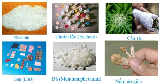 Một số loại ma túy